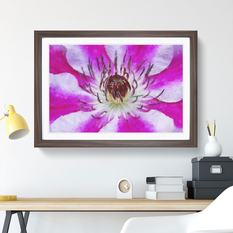 Pink Clematis Flower - Picture Frame Graphic Art, Walnut Framed, 36cm H x 48cm W x 2cm D