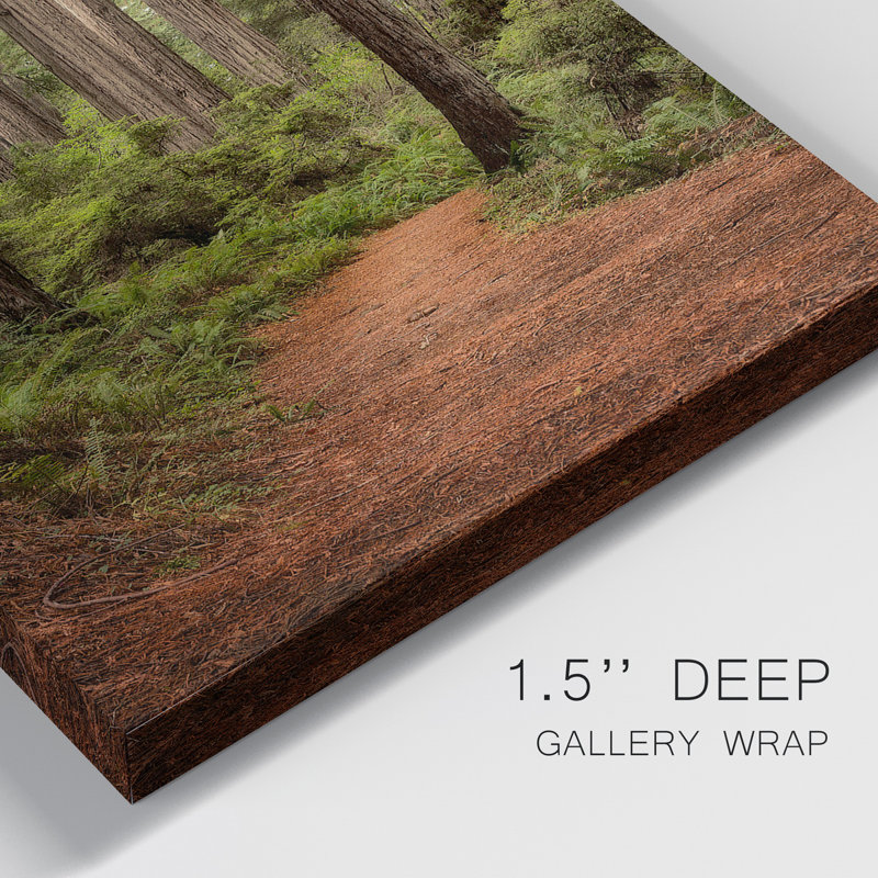 Toile tendue de qualité supérieure Forest Forest II - prête à être accrochée, H 12 po x l 16 po x P 1 po