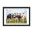 Black Framed Fine Art Paper is unavailable