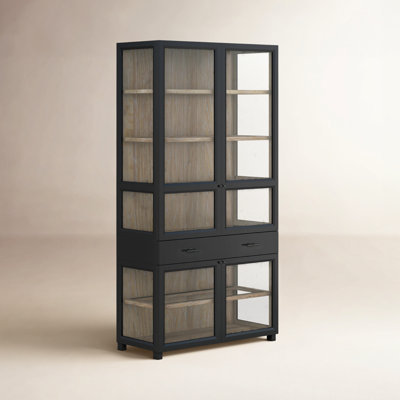 Katheryn Frame Display Cabinet by Birch Lane