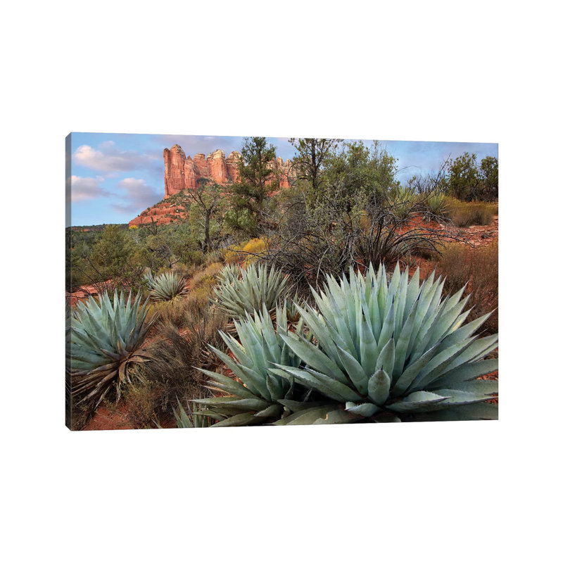 Agave And Coffee Pot Rock Near Sedona, Arizona by Tim Fitzharris - Wrapped Canvas Print, 66.04 cm H x 45.72 cm W x 1.91 cm D