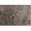 Museum Oriental Area Rug in Pewter-25698589