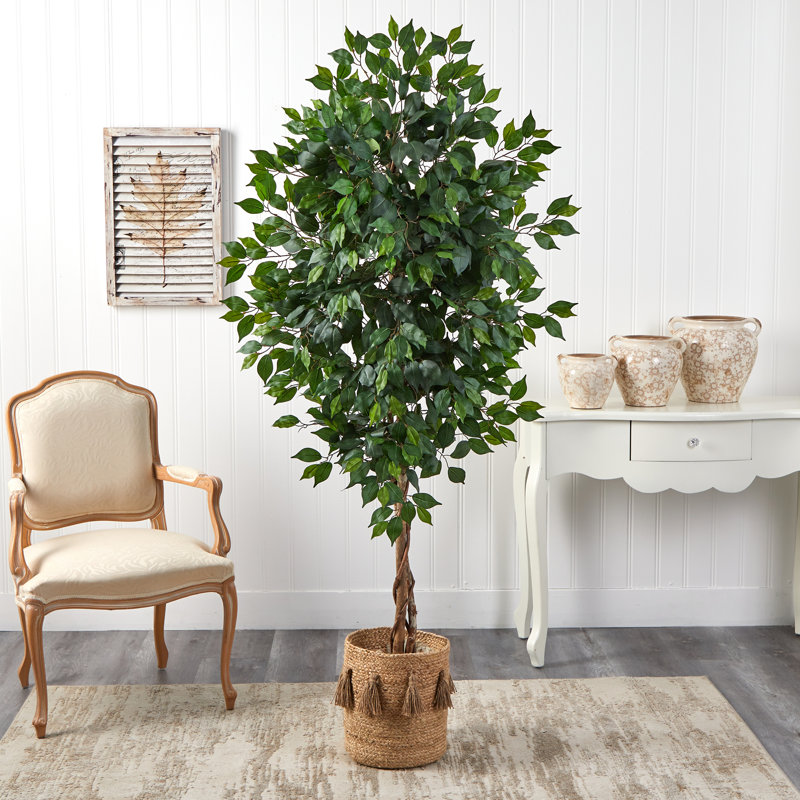 72'' Faux Ficus Tree in Burlap, Cotton Planter