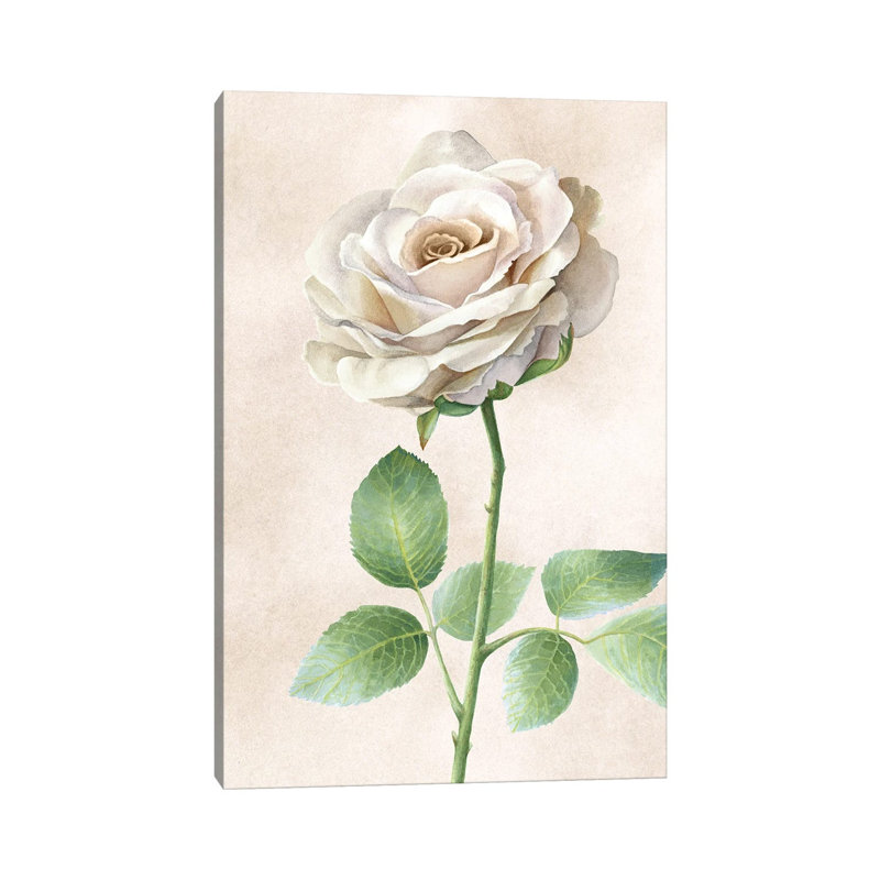 Ivory Roses Panel I by Kelsey Wilson - Wrapped Canvas Print, 20.32 cm H x 30.48 cm W