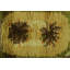 One-of-a-Kind 3’x4’10 Hand Knotted Area Rug