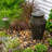 Outdoor Urn Fountain
