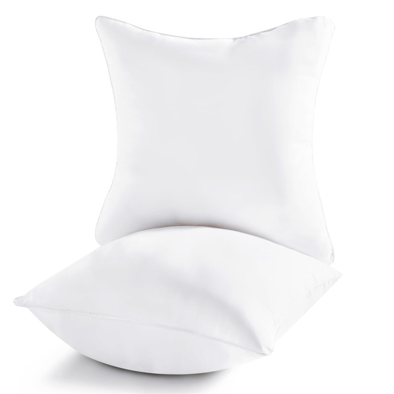 Decorative Square Pillow Insert (Set of 2), 22" x 22"