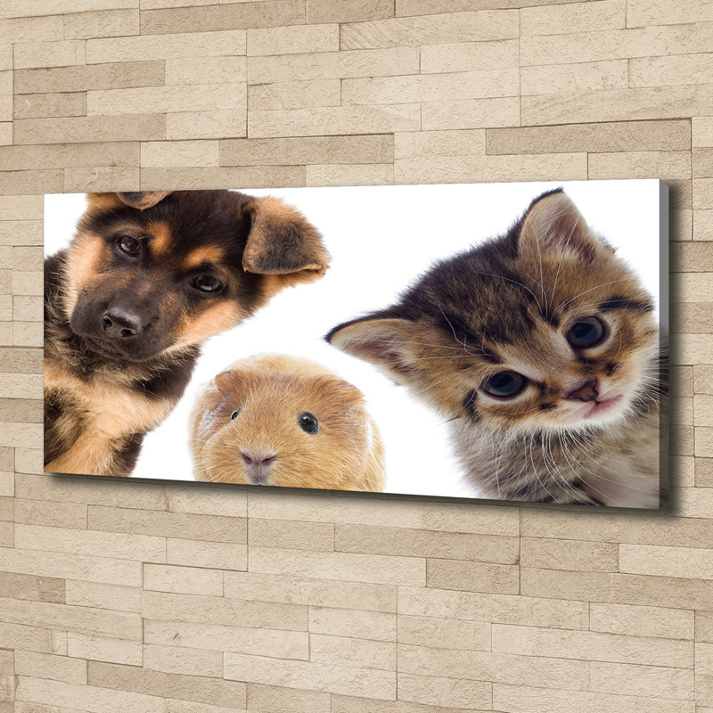 Pets - No Frame Print on Canvas