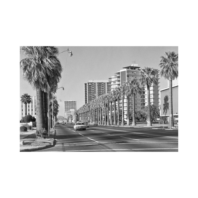 1960s Rows Of Palm Trees Central Avenue Phoenix AZ USA - Wrapped Canvas Print, 20.32 cm H x 30.48 cm W