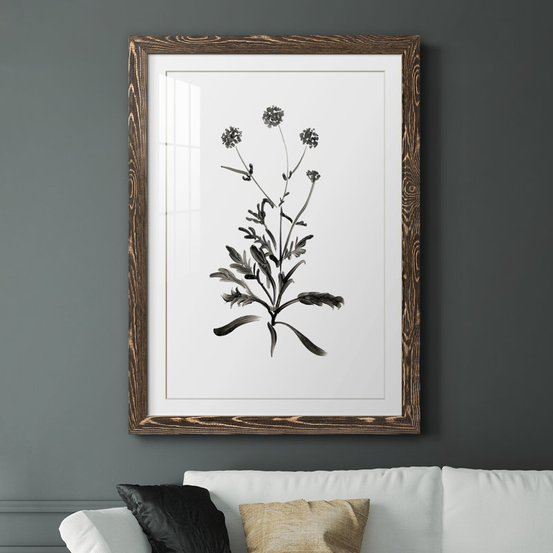 Inky Botanical I - peinture encadrée, H 37,5 po x l 27,5 po x P 1,5 po, Encadré de bois de noyer
