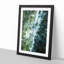 Forest Road in Abstract - Picture Frame Painting Print-55577573-55577577