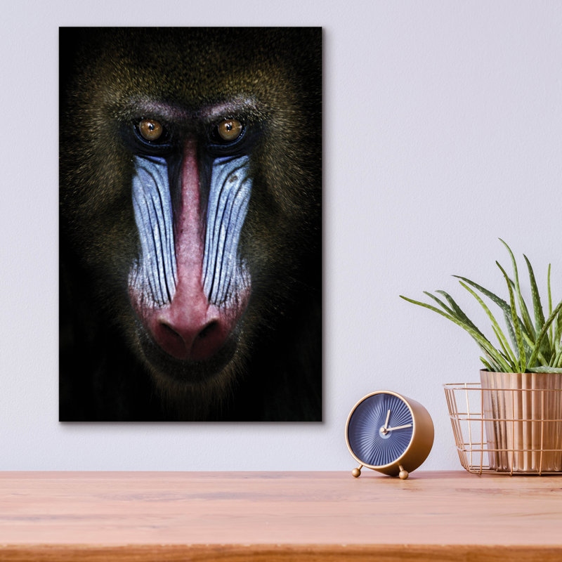 " Mandrill " by SD Smart, 16" H x 12" W x 0.13" D