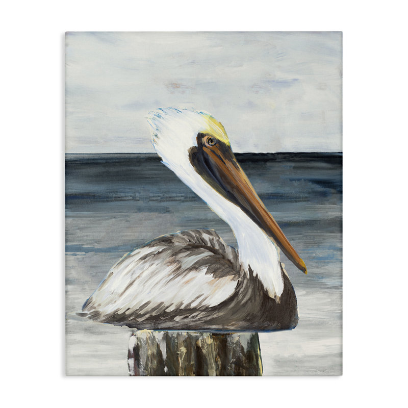 «Resting Beach Pelican» par Julie DeRice, H 20 po x l 16 po