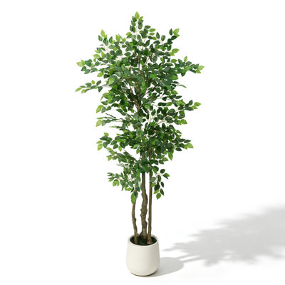 Ficus artificiel de 6 pi dans un pot à fleurs rond blanc avec flocage vert