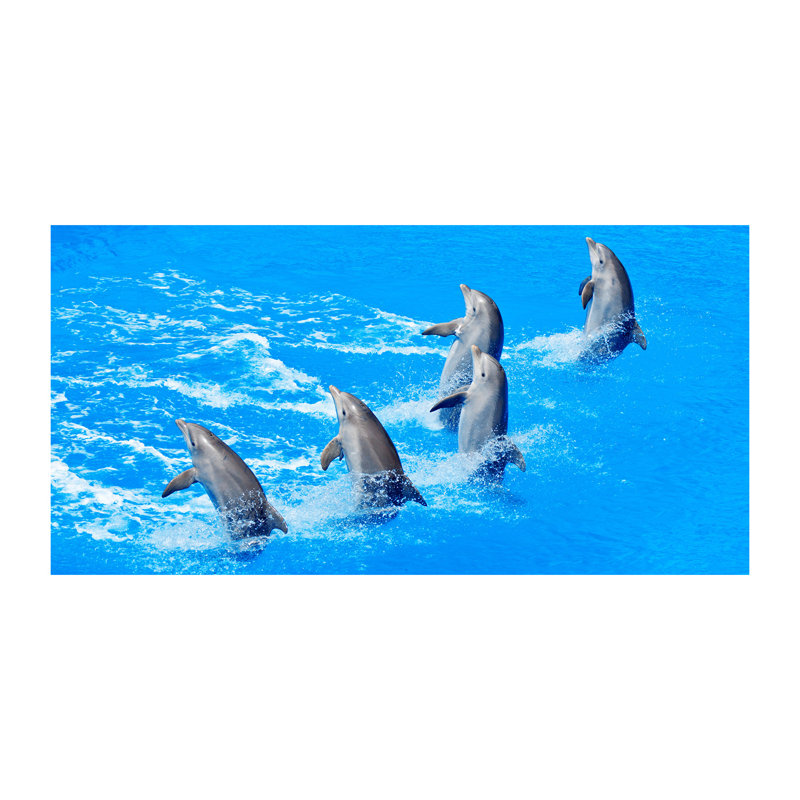 Dolphins - Print, Wrapped Canvas, 70cm H x 140cm W x 2cm D