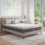 Novilla 25cm Memory Foam Pocket Sprung Mattress-1042538276
