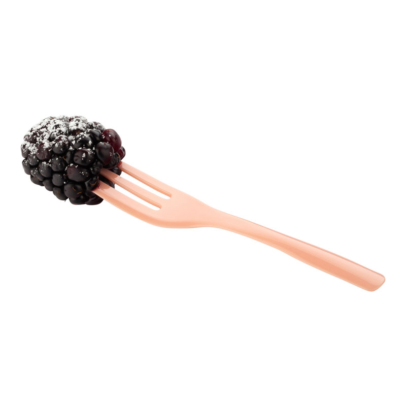 Disposable Forks