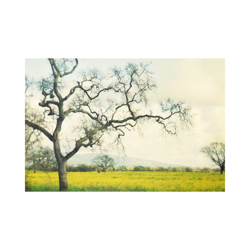 Green Gold 1 Piece Wrapped Canvas Wall Art, 30.48 cm H x 45.72 cm W