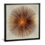 «Bronze Sunburst I» par Abby Young - impression d'art graphique-49899597-53127941