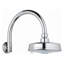 Rainshower™ Rustic Rain Shower Head with DreamSpray-2424475