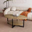 Agora Solid Coffee Table with Storage-80131506