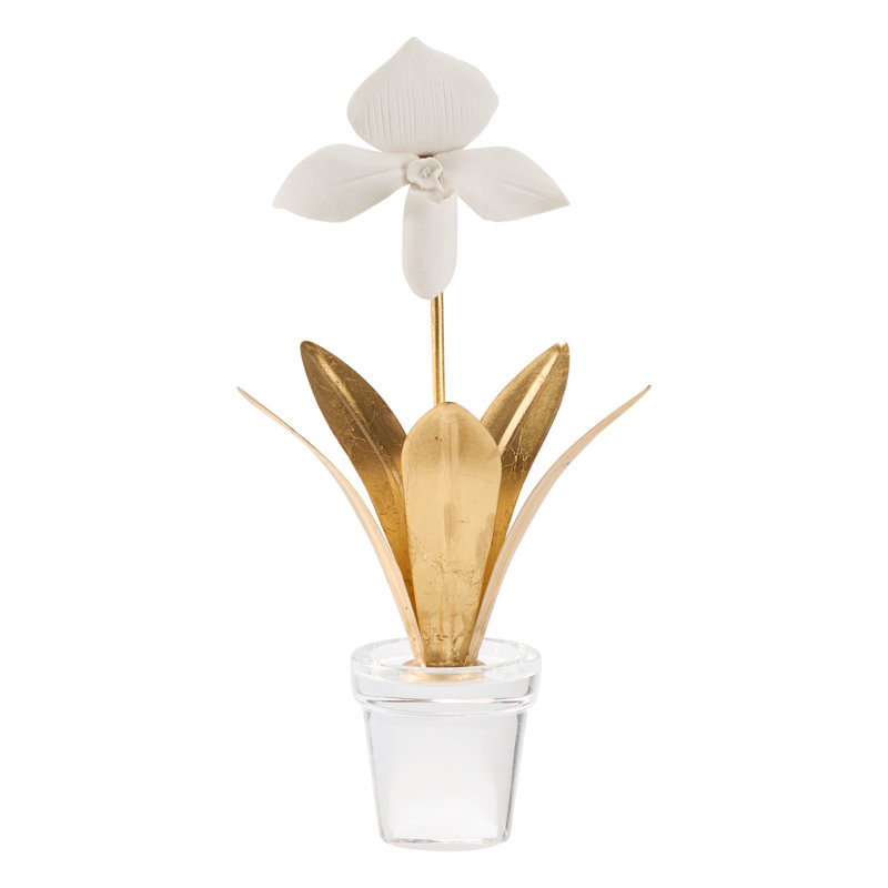 Lady Slipper Orchid