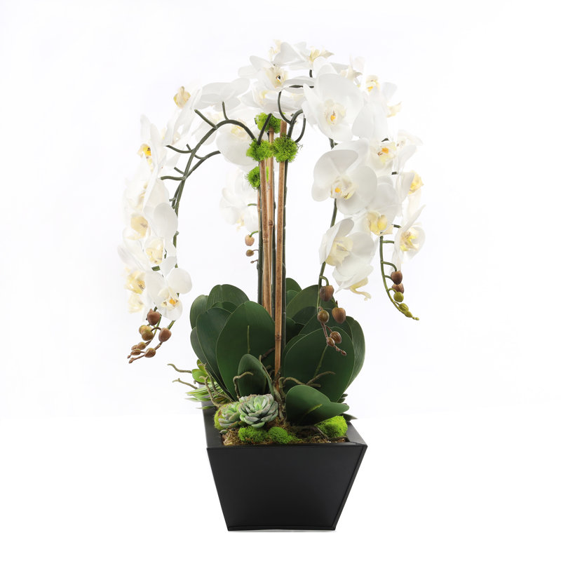 Real Touch Phalaenopsis Orchid Floral Arrangement in Pot