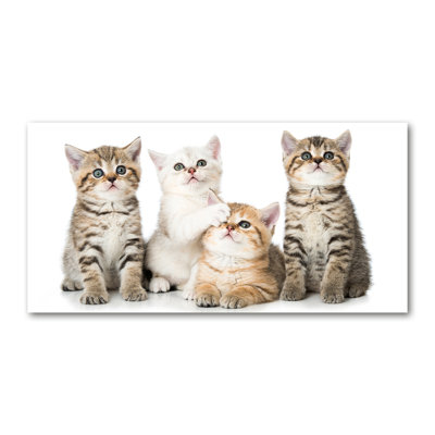 Small Cats - Wrapped Canvas Print