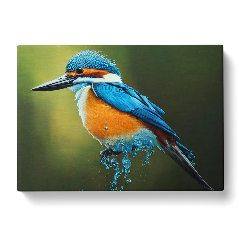 Edgy Kingfisher Bird - Wrapped Canvas, 35cm H x 50cm W x 3cm D