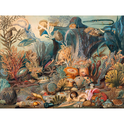 Ocean Life 1 Piece Wrapped Canvas Painting