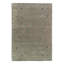Oriental Area Rug in Olive