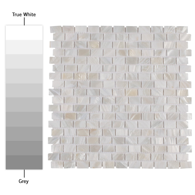 Conchella 0.57" x 0.95" Seashell Brick Joint Mosaic Tile