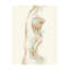 Gesture In Moment III Print by Janice Sadler-26760983-26760984
