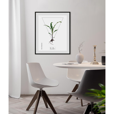 Plant - Single Picture Frame Print