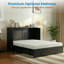 Queen Murphy Bed with RGB LED Light & Storage Drawer, Black