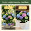 Piquets de soutien pour plantes de jardin en spirale