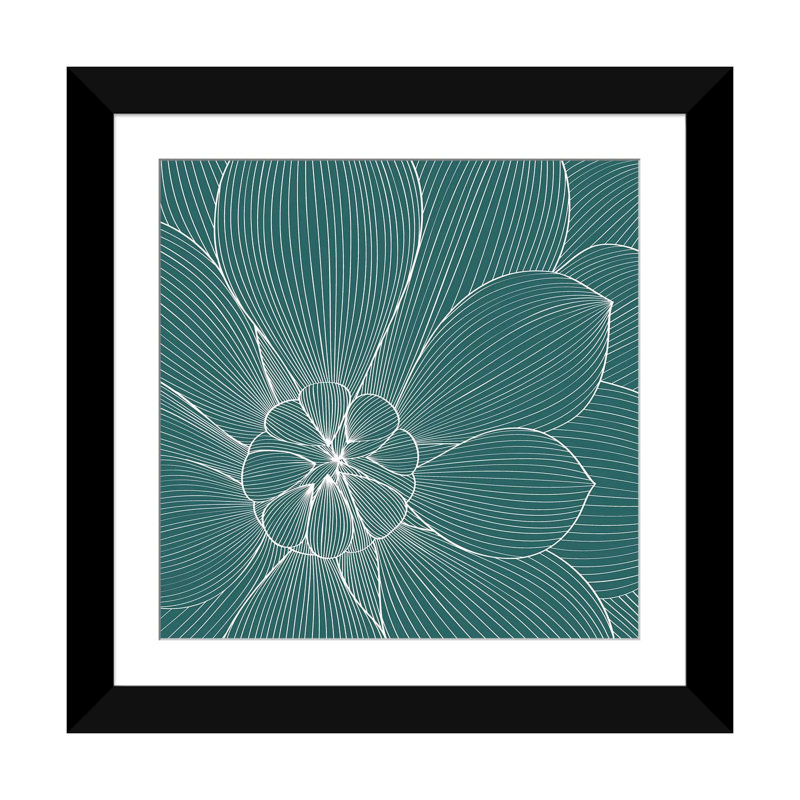 «Myrrhis Odorata II» par GraphINC - impression sur toile tendue, H 24 po x l 24 po x P 1 po, Papier d'art encadré noir, Blanc