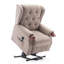 Avalon 83cm Wide Lift Assist Wing Chair Recliner-837974561