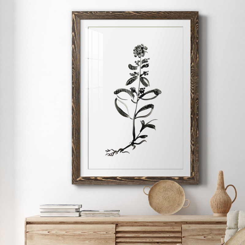 Inky Botanical III - peinture encadrée, H 37,5 po x l 27,5 po x P 1,5 po, Encadré de bois de noyer