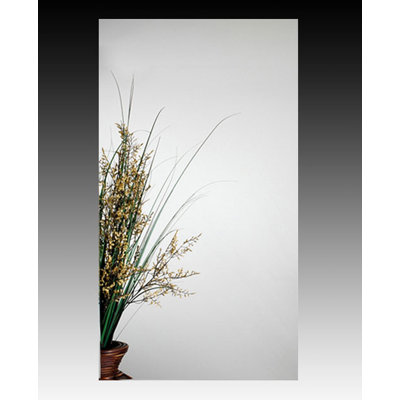 15'' W Mirrored Medicine Cabinet