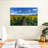 Sunflower Field Path-104782232