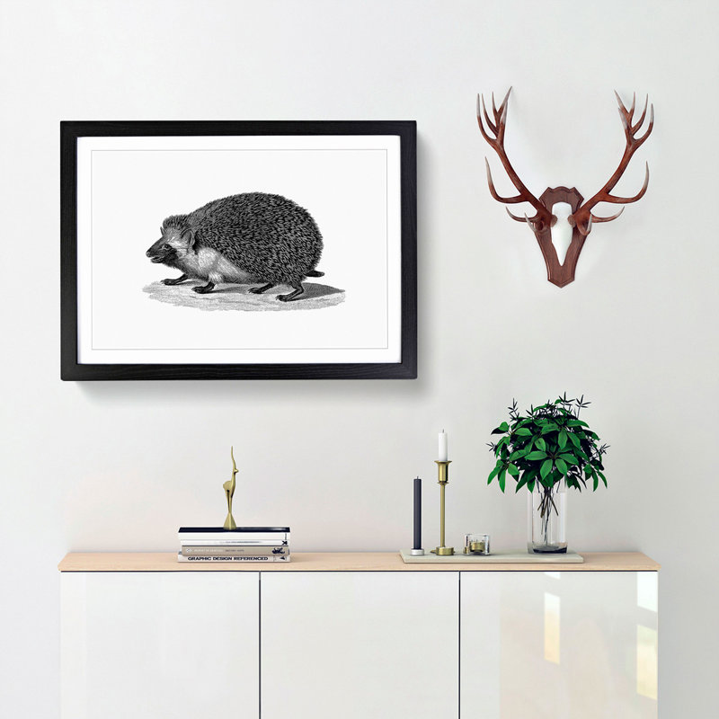 Hedgehog Illustration - Framed Print, 36cm H x 48cm W x 2cm D, Black Framed