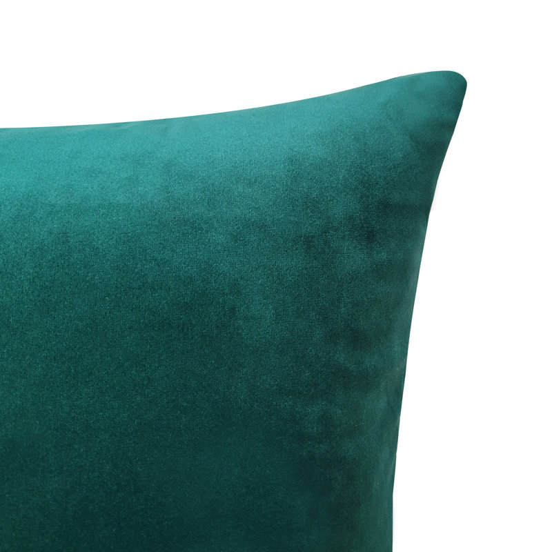 Coussin en velours