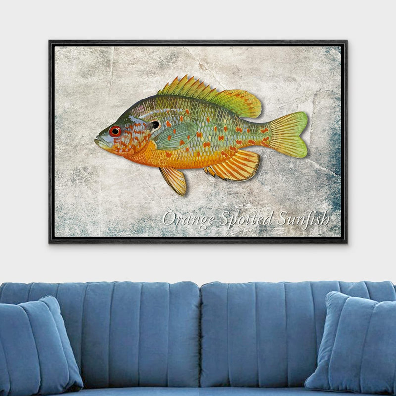 Crapaud orange sur fond de granit, vie marine, réalisme nautique, ultra sur toile, Cadre flottant noir