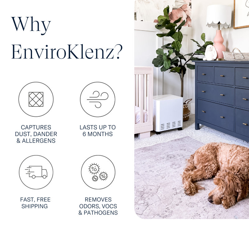 EnviroKlenz Air Filter for Air Purifier