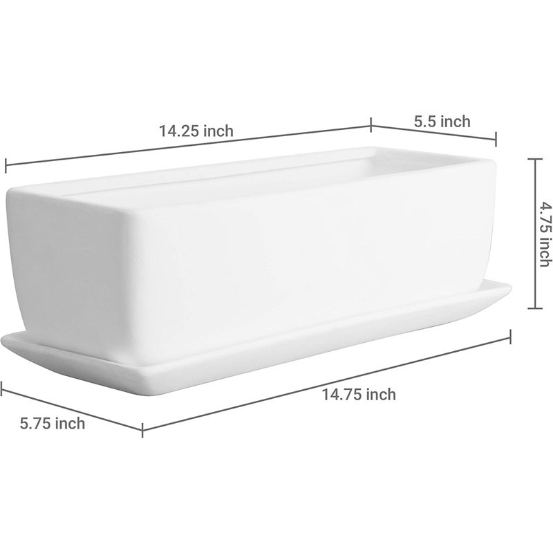 Pot d'intérieur en céramique, plante grasse rectangulaire, Blanc, H 5 po x l 15 po x P 6 po