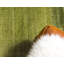Tapis vert Sahori-477390838