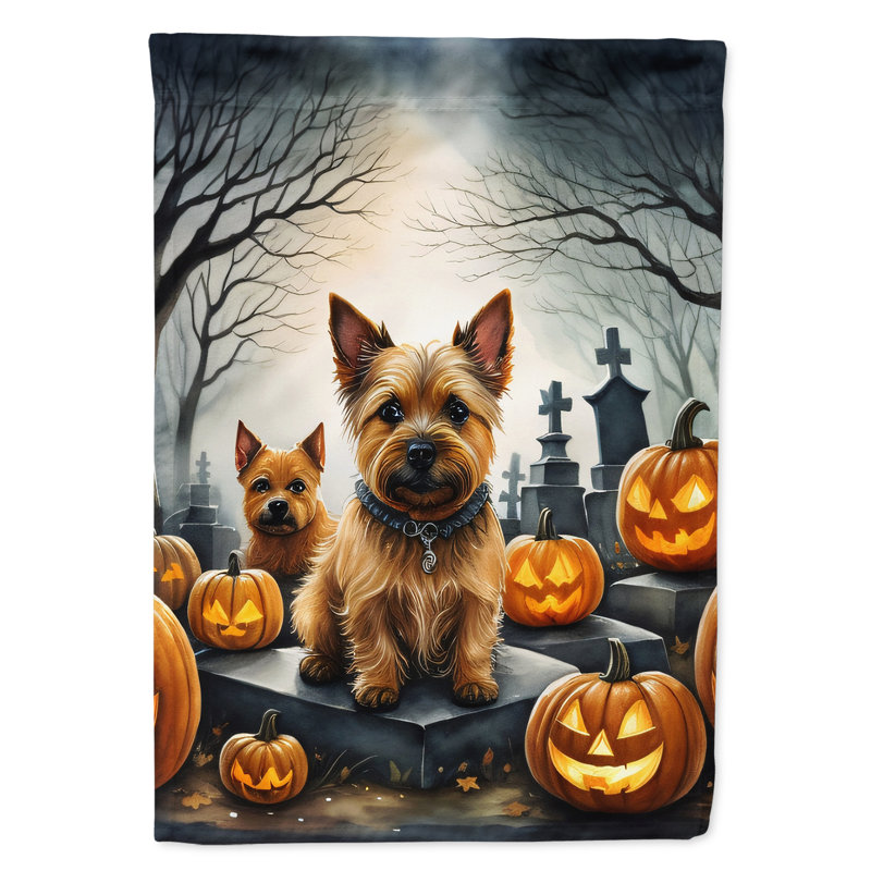 Double Sided 15.5'' H x 11.25'' W Polyester Halloween Garden Flag