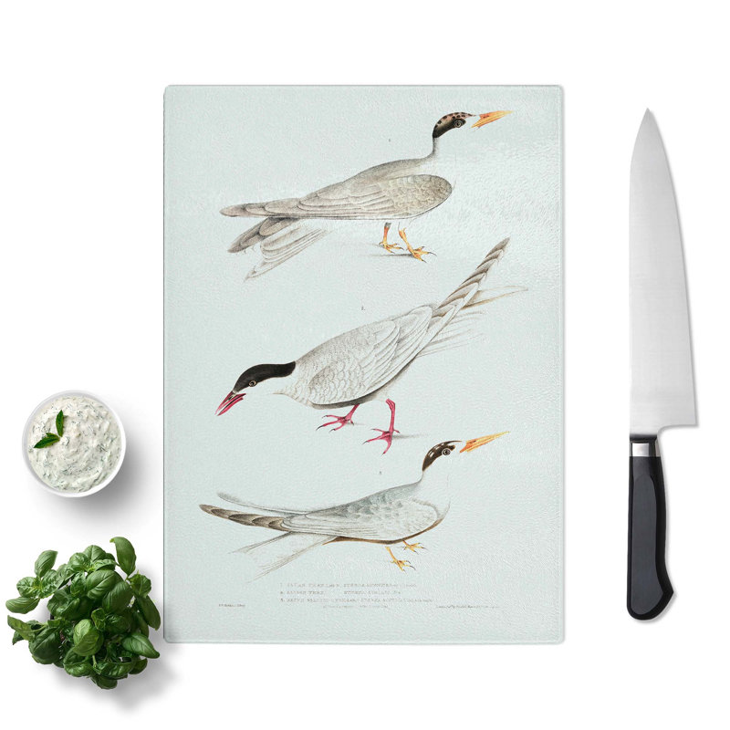 Tempered Glass Tern Bird Illustrations by John Edward Gray Chopping Board, 28.5cm W x 39cm L