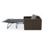 Kiran Sleeper Sofa-1777732502
